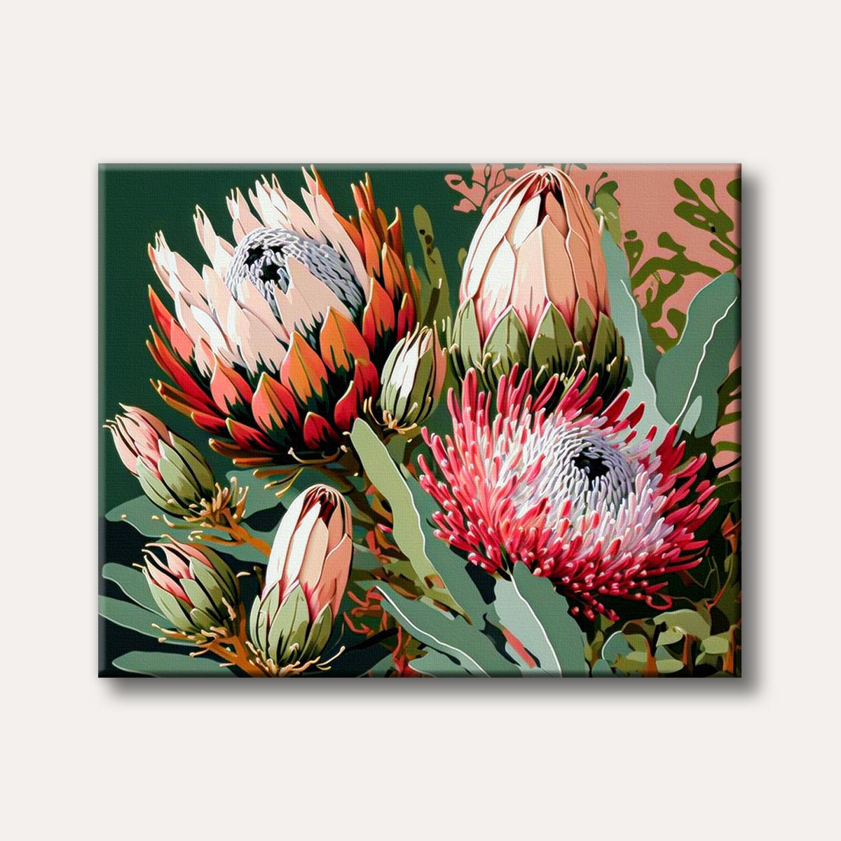 A vibrant illustration of pink, orange, and white protea flowers and buds surrounded by green leaves against a dark background, rendered in a modern botanical style.
