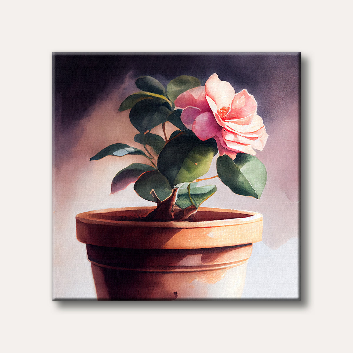 A vibrant pink camellia flower in a rustic terracotta pot, rendered in a soft watercolour style with a dark to light gradient background, evoking a serene mood.