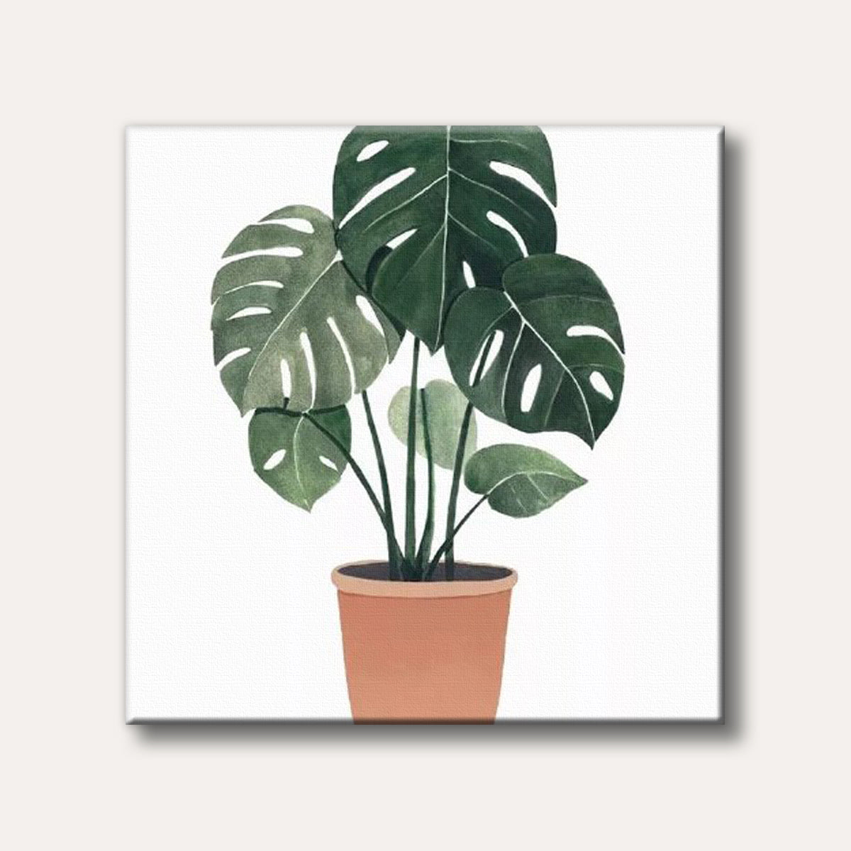 monstera plant paintings Paint by Number Kit