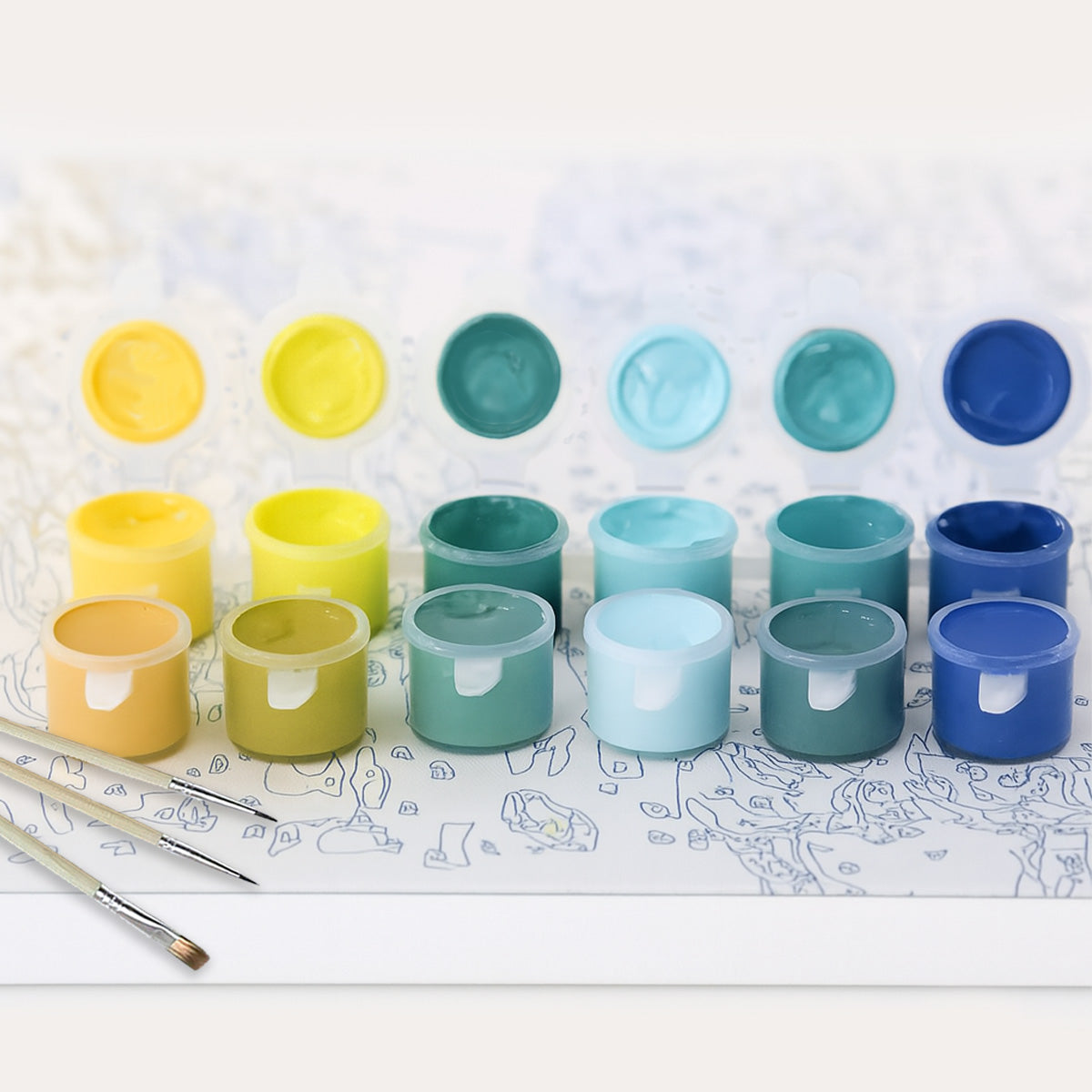 acrylic paint open and brushes on paint by numbers canvas