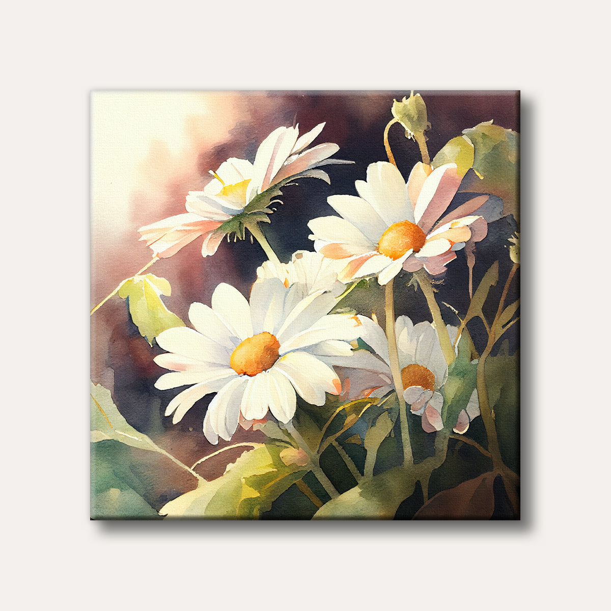 A watercolour painting of several white daisies with orange centers, illuminated by soft sunlight against a dark, muted background, creating a serene and natural mood.