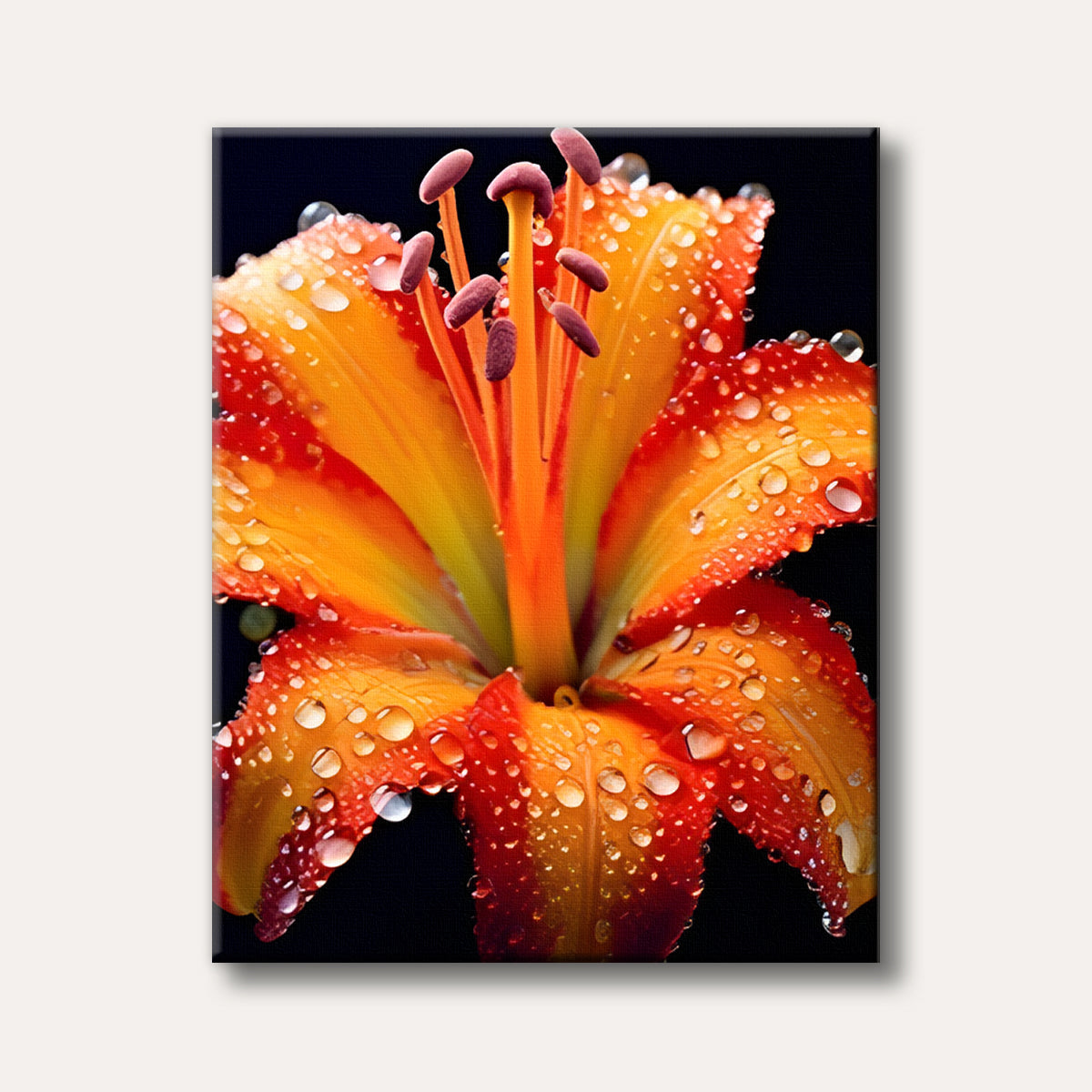 A vibrant orange and red lily bloom covered in sparkling water droplets against a dark background, painted in a realistic style.